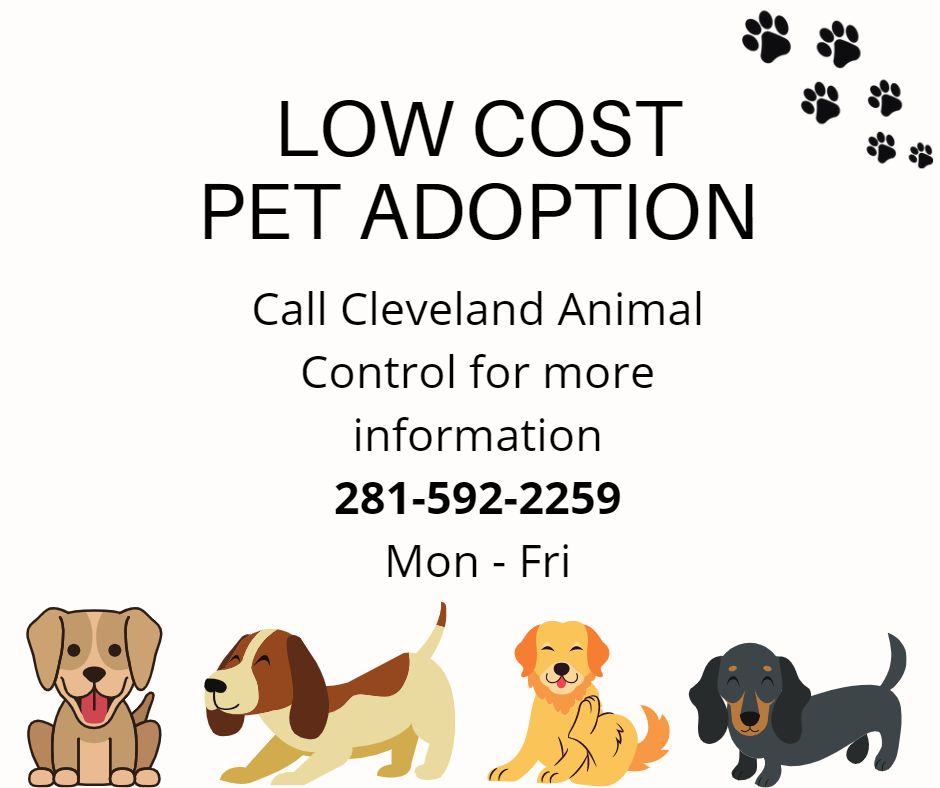 LOW COST PET ADOPTION